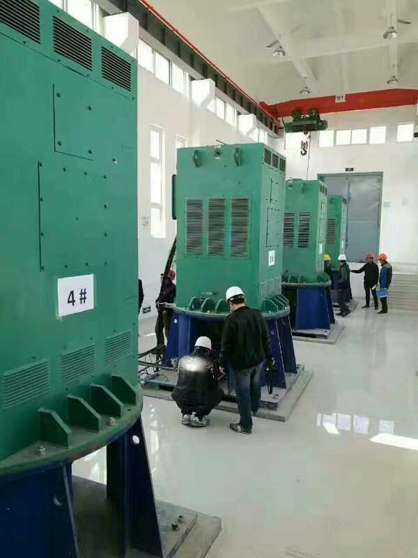 甘泉某污水处理厂使用我厂的立式高压电机安装现场